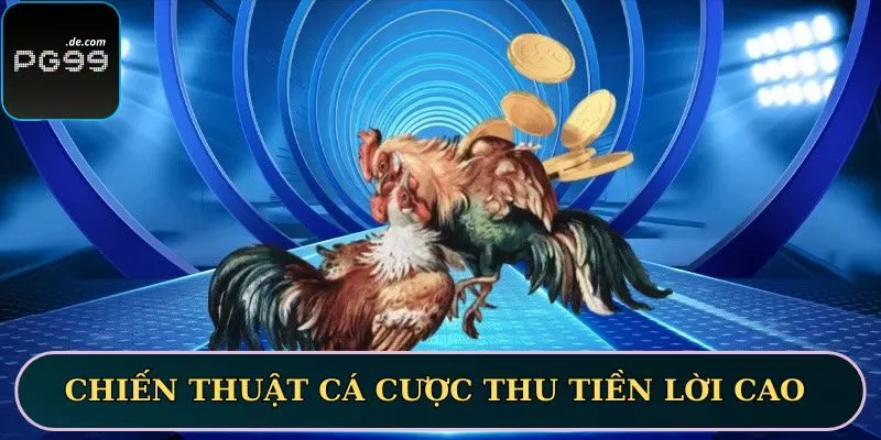 Áp dụng chiến thuật cá cược thu tiền lời cao